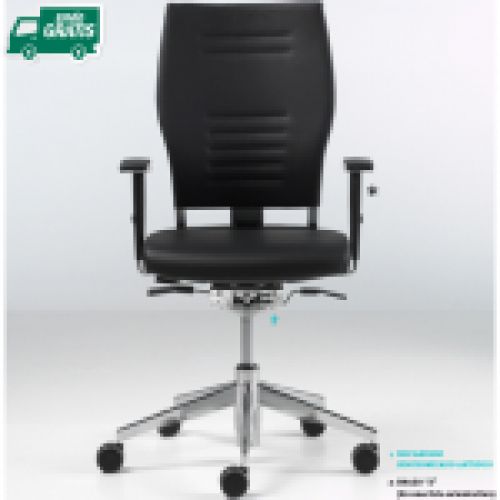 Silla trabajo ergonómica Zas DYNAMOBEL 07